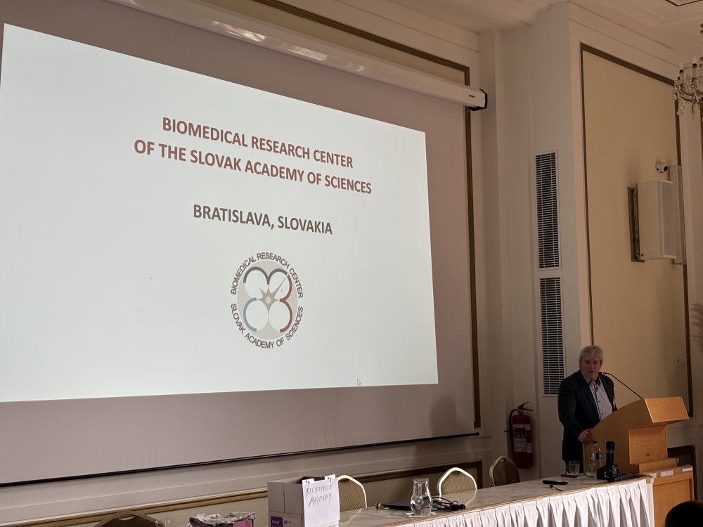 seminář